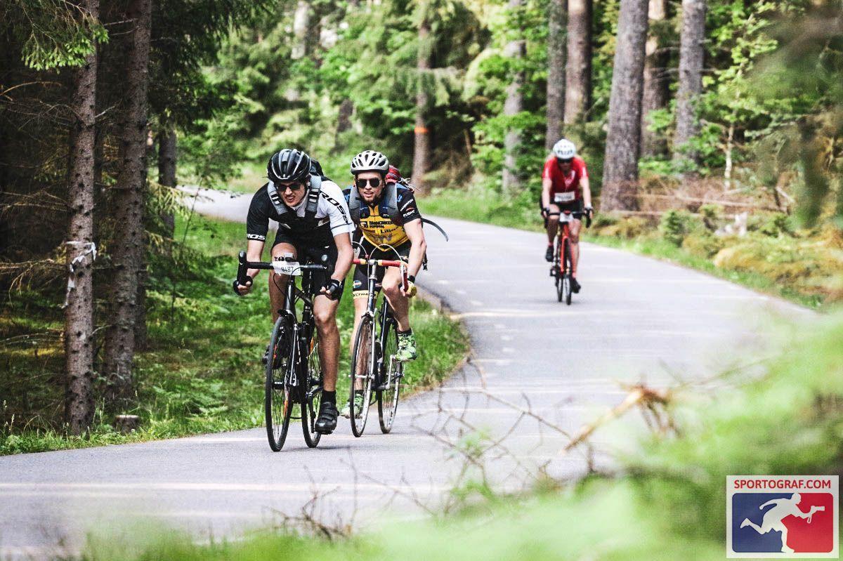 Three cyclists are racing on a forest road.