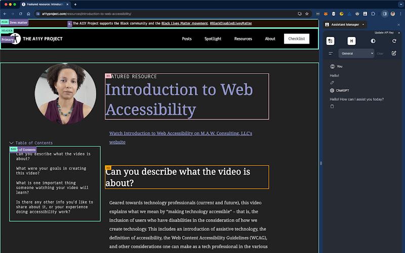 Screenshot of a web accessibility tool interface.